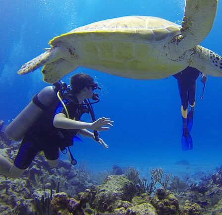 Scuba Diving Destinations