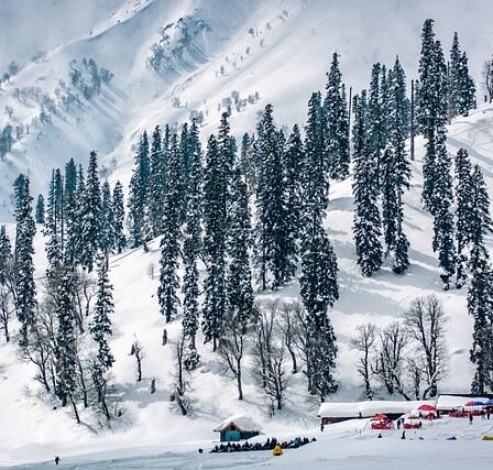 Places To Visit in Kashmir