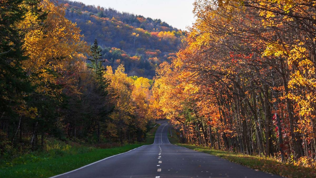 Michigan Road Trip: The Ultimate Guide