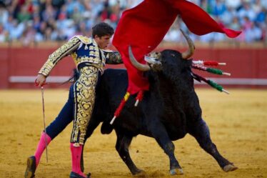 Bullfighting in Spain: Culture, Debate & the Road Ahead