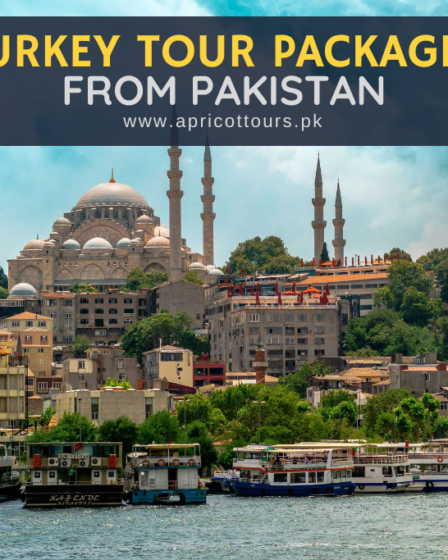 Complete Guide to Turkey Tour Packages from Pakistan